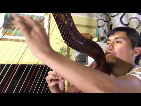 ALICIA DELGADO DESPUES DE MI Q IMPORTA(cover)HUILVER PRE ARPISTA PROFESIONAL cel:970475210/999967023