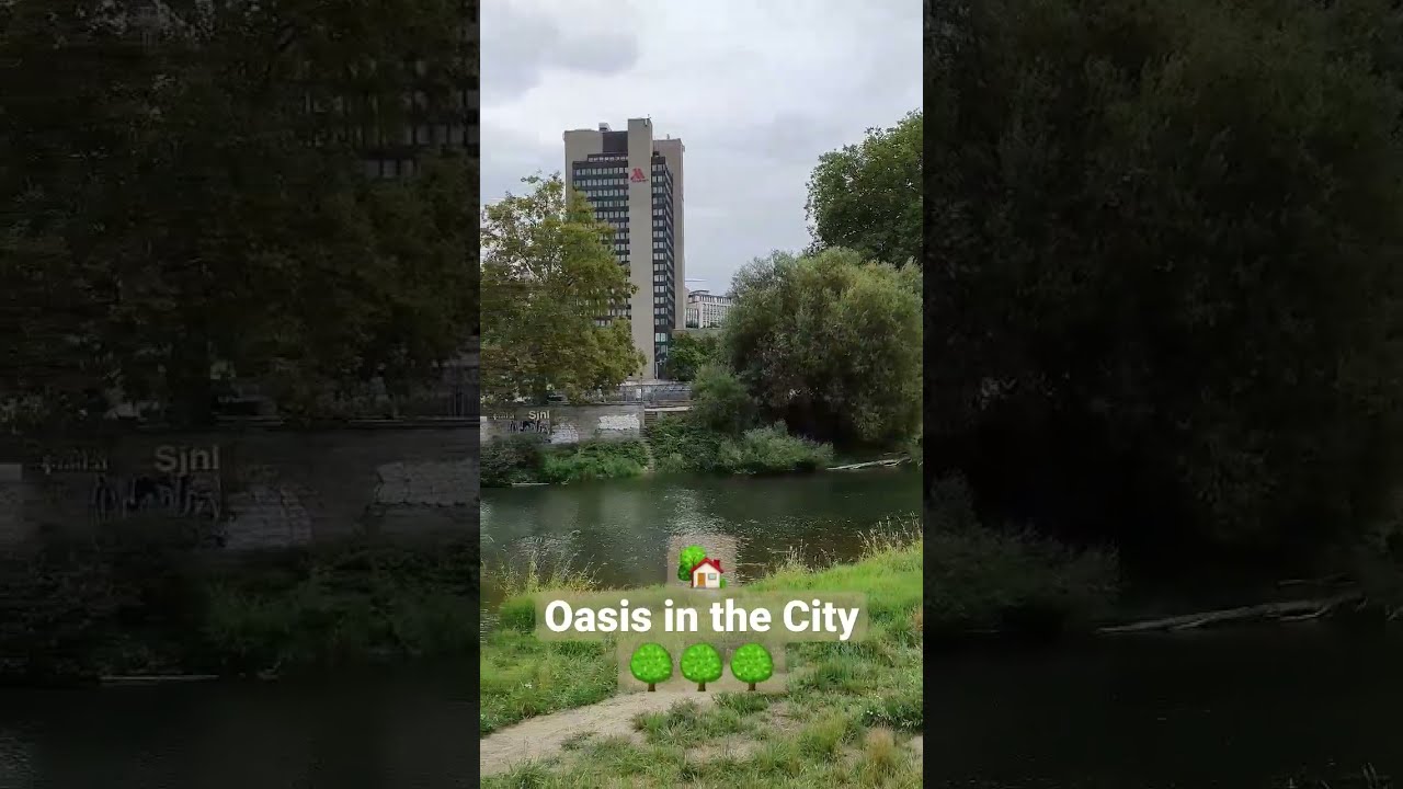 YouTube Short thumbnail