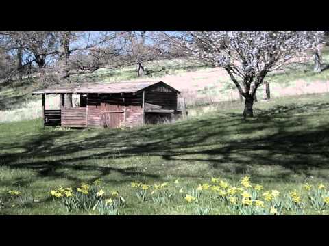 Oh So Many Years - Everly Brothers