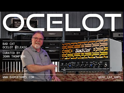 Bad Cat Ocelot Guitar Amp Head image 2