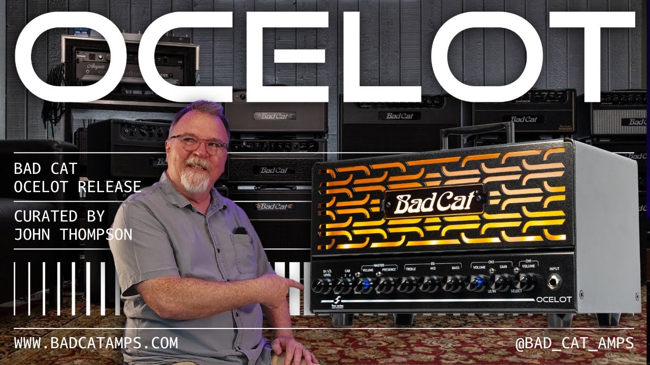 Bad Cat Ocelot 25w Lunchbox Amp Head