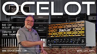 Video thumbnail for Ocelot by Bad Cat Amps by Bad Cat Amps