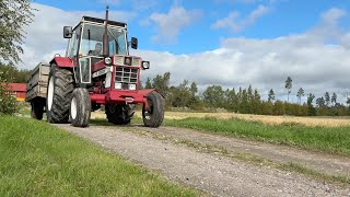 Купить виброплиту International 844 - Изображение 4 | Machineryline EE Виброплита International 844 | Изображение 4 - Machineryline