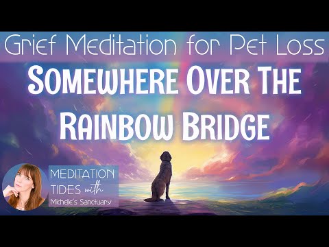 Grief Meditation for When a Pet Dies 🌈 SOMEWHERE OVER THE RAINBOW BRIDGE 🦋 Meditation for Pet Loss