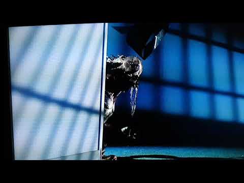 gremlins 2 - spider transformation