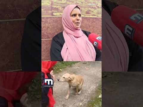 രക്ഷിച്ചതിന്റെ നന്ദി കാട്ടാൻ അവൻ വരും..;  വായിൽ എല്ല് കുടുങ്ങിയ തെരുവുനായയ്ക്ക് രക്ഷകയായി നസീറ | Dog