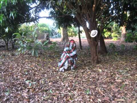 Ritual Xamânico - LUZ, PAZ e AMOR