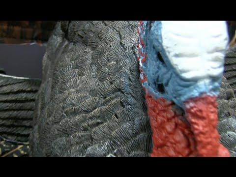 MOJO Scoot N Shoot Turkey Decoy