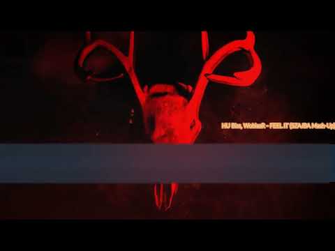 HU Biss,WoblaaR - FEEL IT! (SZAJBA Mash-Up)