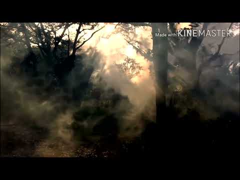 Авет Маркарян Это наше лето кайфуй и танцуй  Руслан Tural Everest, Fariz Fortuna  / New Version 2023