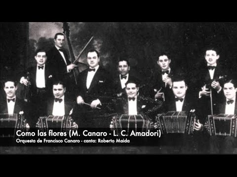 Tango: Como las flores (1936) Orquesta de Francisco Canaro, canta Roberto Maida