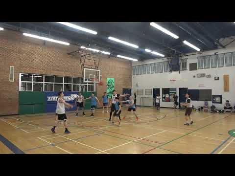 Bumble Bees (3) vs toronto puppy(6) - sunday tier forbidden playoffs - tcbl 2022 spring