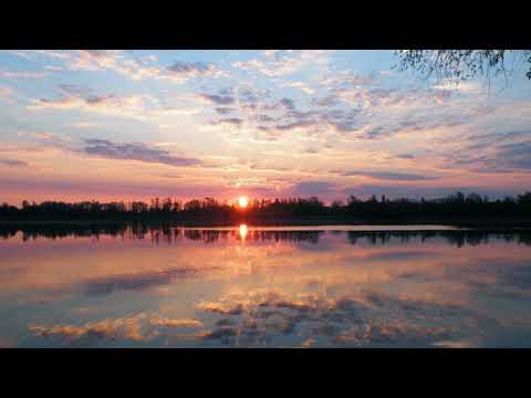 Surah At-Taghabun Heart ❤️ soothing Quran recitation tareq mohammad