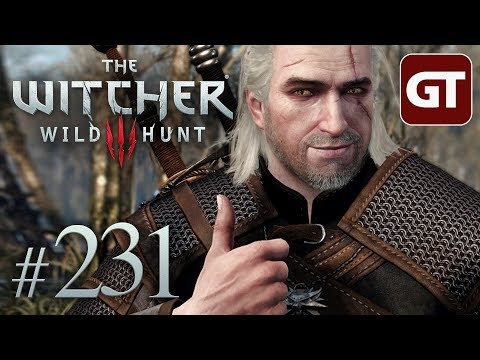 The Witcher 3 #231 - Was für ein MOBA-Roster - Let's Play The Witcher 3: Wild Hunt