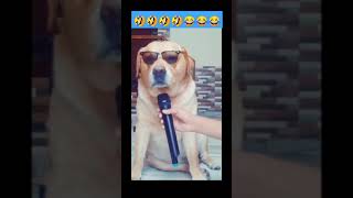 Download lagu Suno  Gaur se pepsi Walo #Shivamgoyal #Garmi mp3