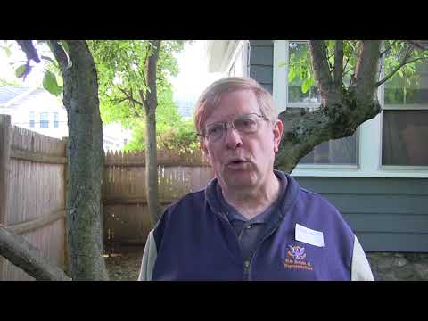 Voices of Palfrey - Niel Wright