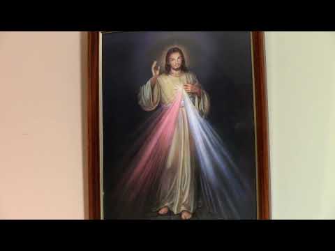 Chaplet of Divine Mercy & Joyful Mysteries, November 19, 2022