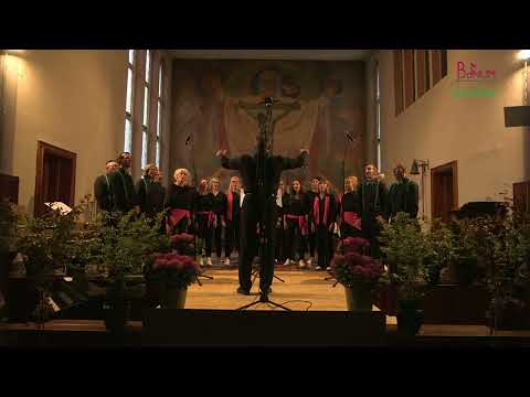 BONUM CANTUM - Tråg mi, Wind