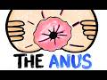 You Ll Never Look At It The Same After This Video