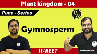 Plant Kingdom 04| Gymnosperm | Class 11 | NEET | PACE SERIES |