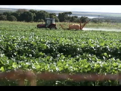 Renegociação de dívidas rurais deve ser votada na próxima semana