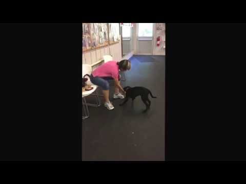 Zayna hold and get it 3 mos