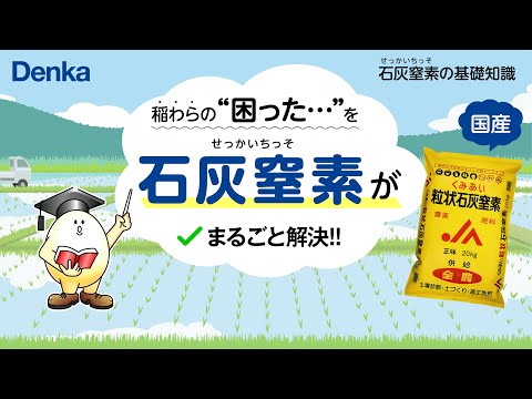 サンエステバンのチャックワラについて詳しく解説