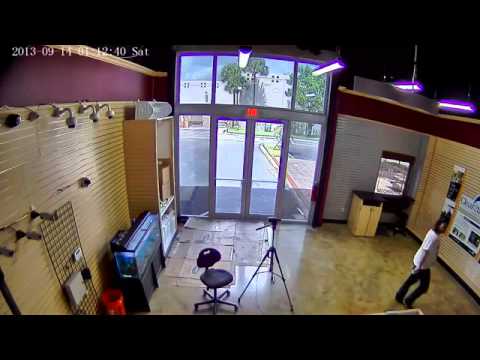 Xarina WDR Network Camera Xarina WDR