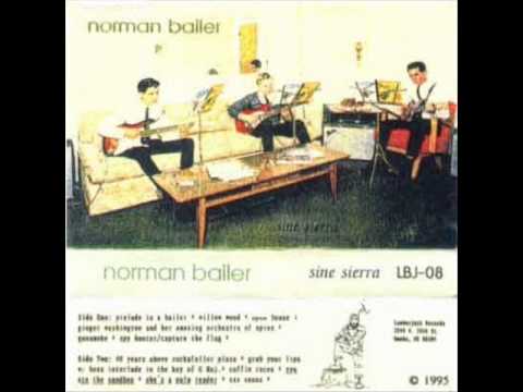 Norman Bailer - Willow Wood