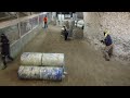 Paintball In A Cave