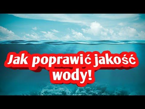 Żeń-szeń dla potencji receptury Moc jelenia na potencję