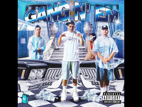 Tha Illest 306 - Gang N 'Em  (Visualizer)