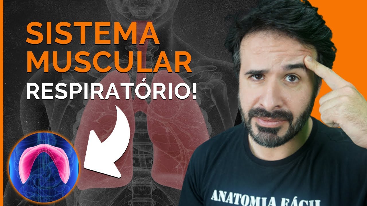 APRENDA TUDO SOBRE OS MÚSCULOS RESPIRATÓRIOS!