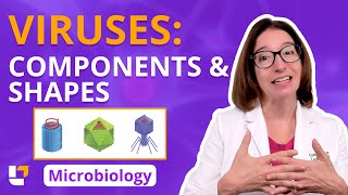 Viruses: Components & Shapes - Microbiology Acellular Pre-Nursing, Pre-Med | @LevelUpRN