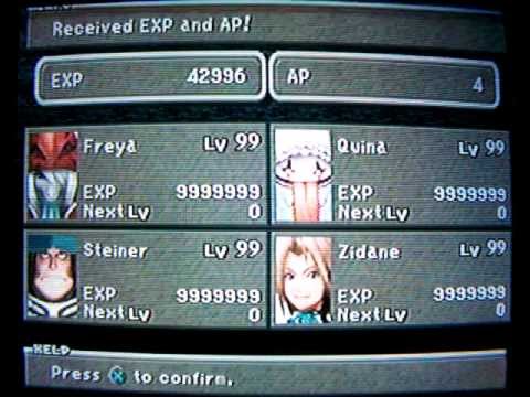 Final Fantasy IX Perfect Game Leftovers - All characters 9999999 EXP (NEW)