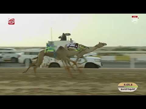 ش 9 (طله) لـ حمد حزام راشد عبدالله القرح 5:52:83 , مهرجان ختامي الشحانية 2026/04/20 حقايق