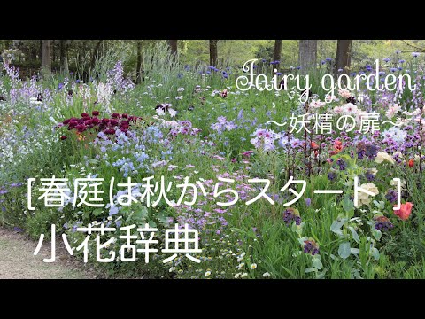 庭のミルフルール: ミニ花を使った植栽のアイデア ガーデンデザイン