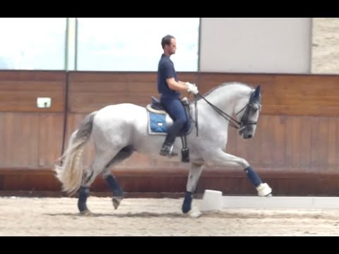 Lizarran - Training Session 29.06.2023