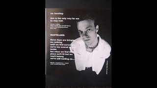 Ann Beretta - Wasteland