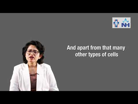 What is Blood Cancer | Dr. Sarita Rani Jaiswal