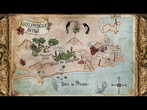 Amigos da Onça - Amigo da Onça & Beija-Flor (Clipe Oficial) - part. Gregório Duvivier