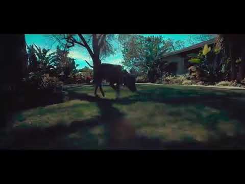 Chindo man watengwa Haiiiya