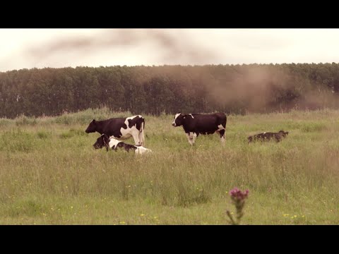 Voir la vidéo : Concours des Pratiques Agro-écologiques Prairies & Parcours anciennement appelé Prairies Fleuries