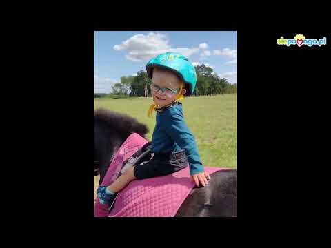 Obrazek poglądowy filmu YouTube