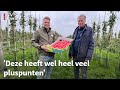 Wordt Cothense 'Tessa' een vaste naam in het appelschap?  | RTV Utrecht