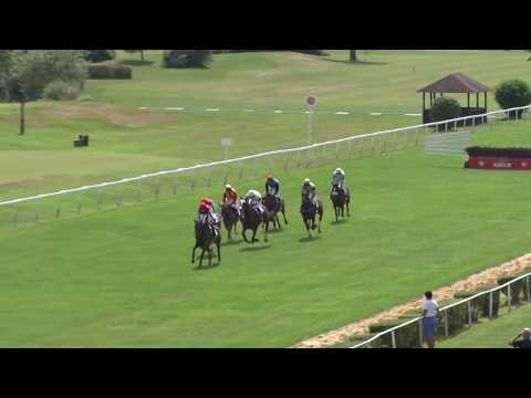 KV, 23. 7. 2017, 2. dostih - Cena JATKY ČESKÝ BROD a.s.