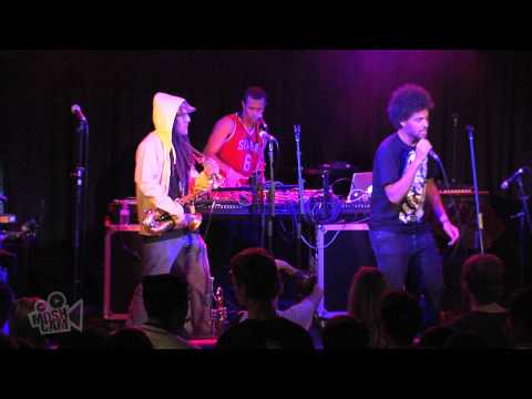 True Vibenation - Family Adventure/Too True   (Live in Sydney) | Moshcam