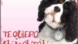 Elefantes-Si no te siento