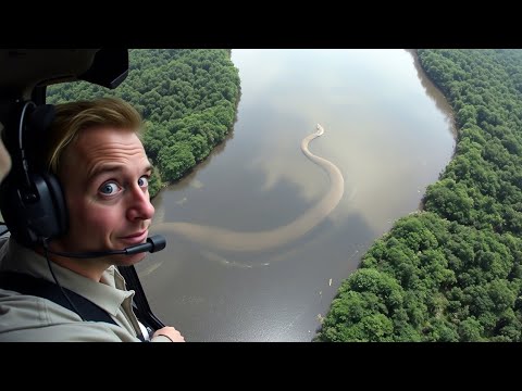The pilot accidentally saw a giant anaconda in the Amazon River and took a picture of it right away