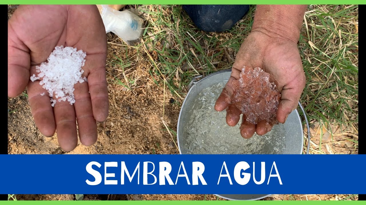 Pasos para sembrar AguA, hidrogel en frutales!